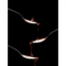 Won Avatar